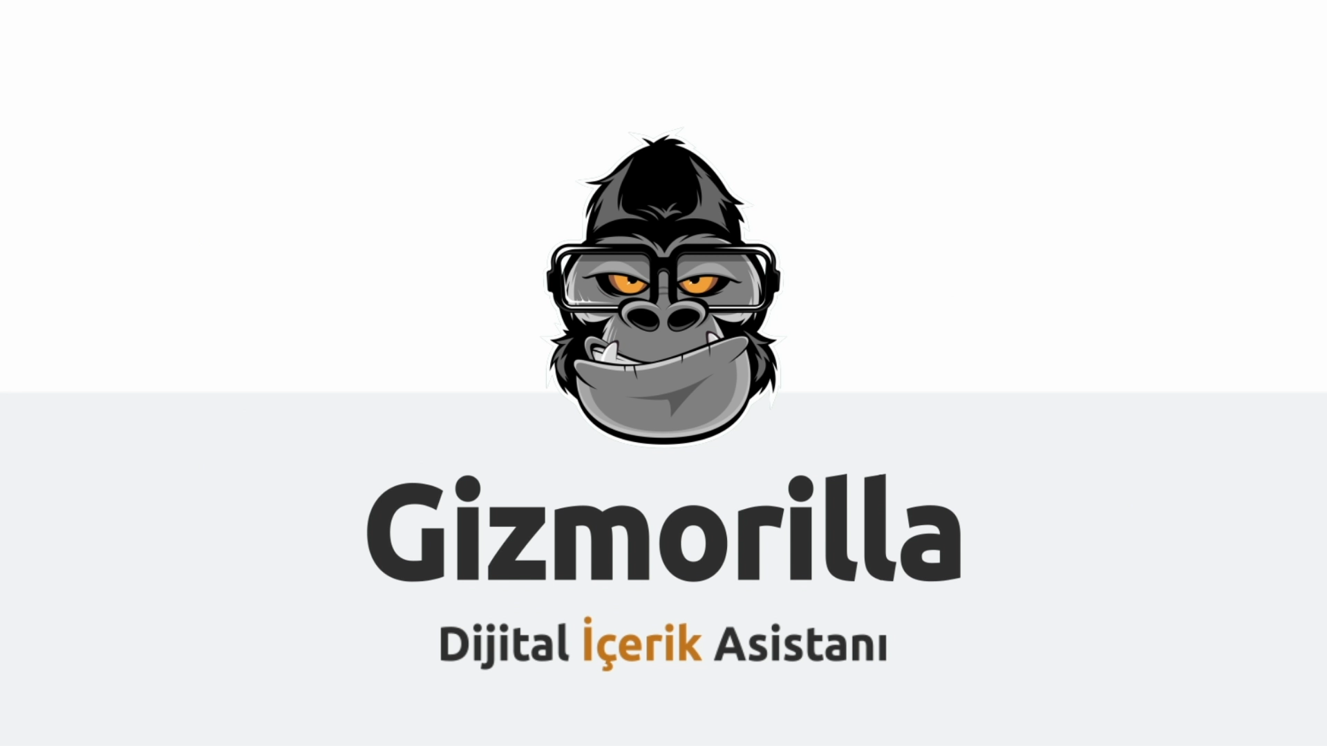 Gizmorilla - Tanıtım